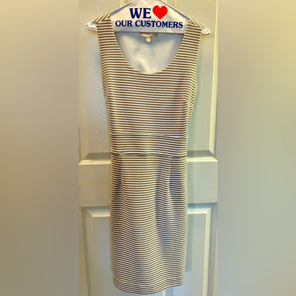 Banana Republic dress with fitted waistband. Size 8